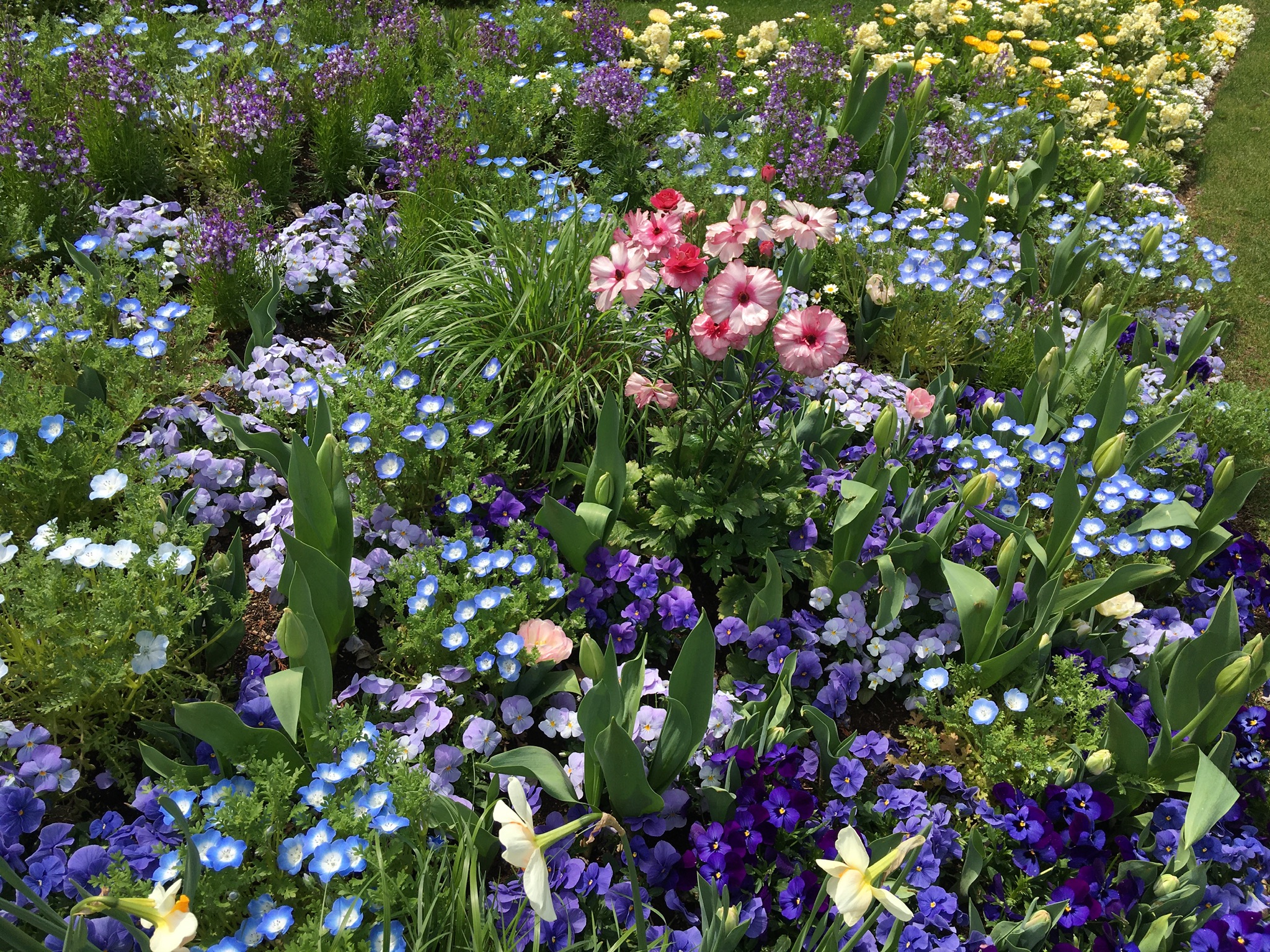 DD02AD38-B3C6-4537-8711-FB472007C496