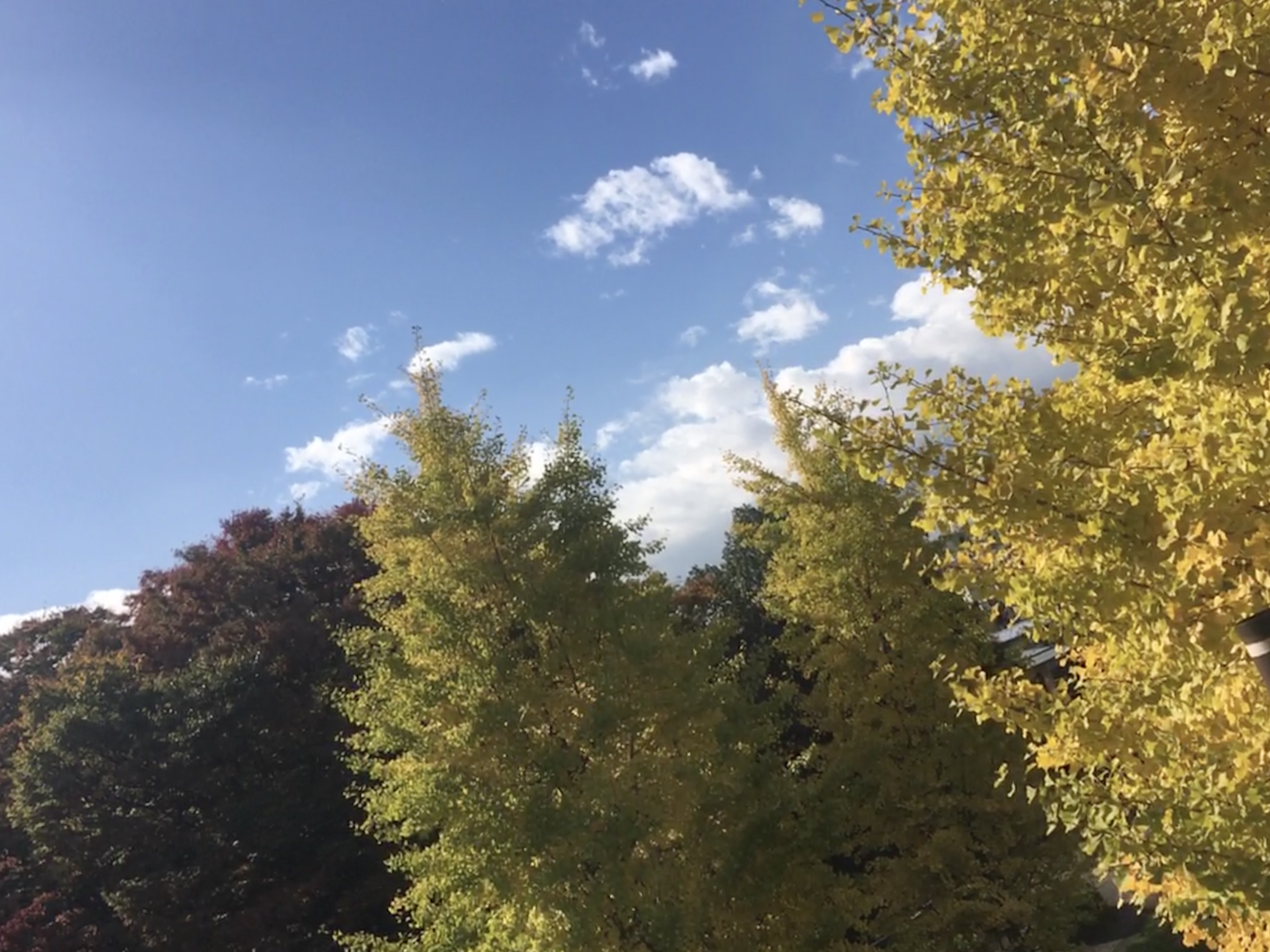 DDA11252-07C1-4389-AD37-CA9B827A323D