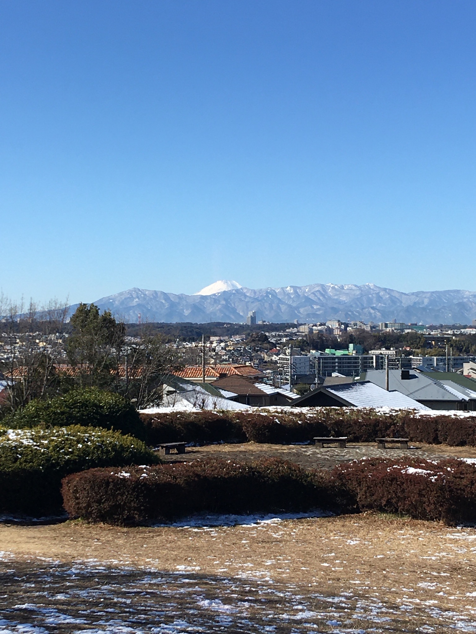 E52AF33C-44CD-4D71-AED1-A7701B1EE1B0