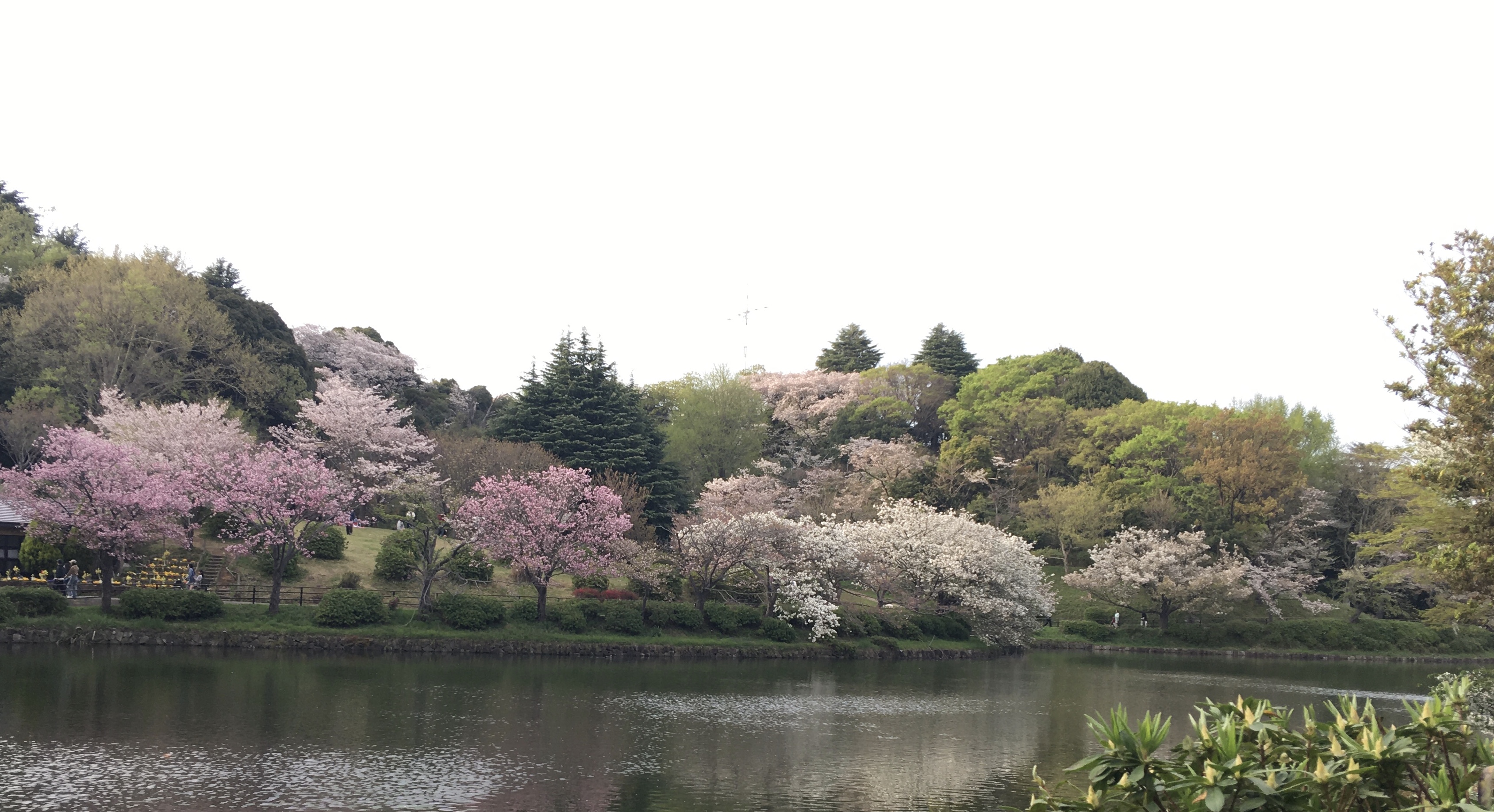 E6CE2D1F-1991-4857-A155-76F290612050