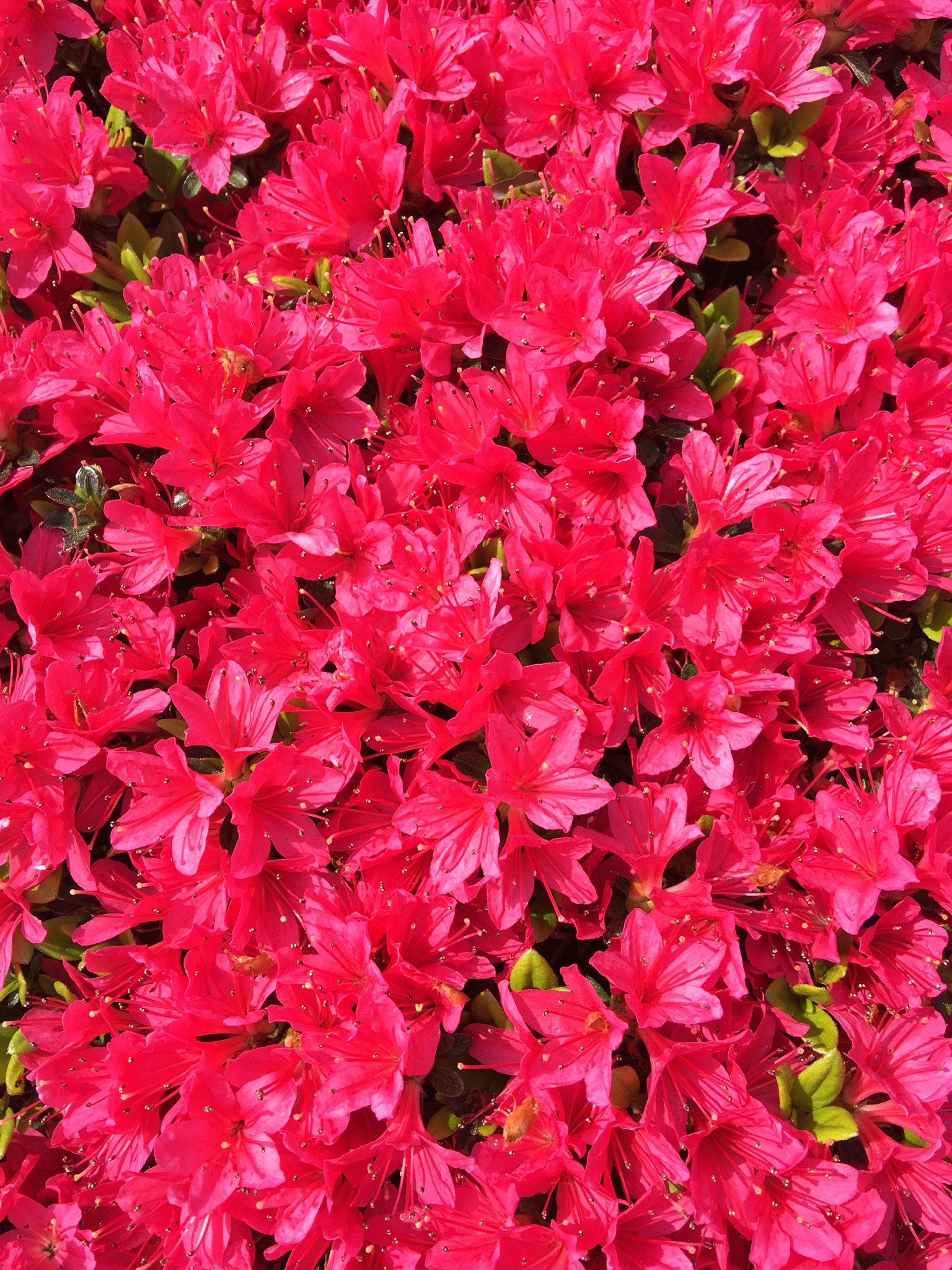 E6F1192E-FF95-4A14-AD18-EE4E73208D21