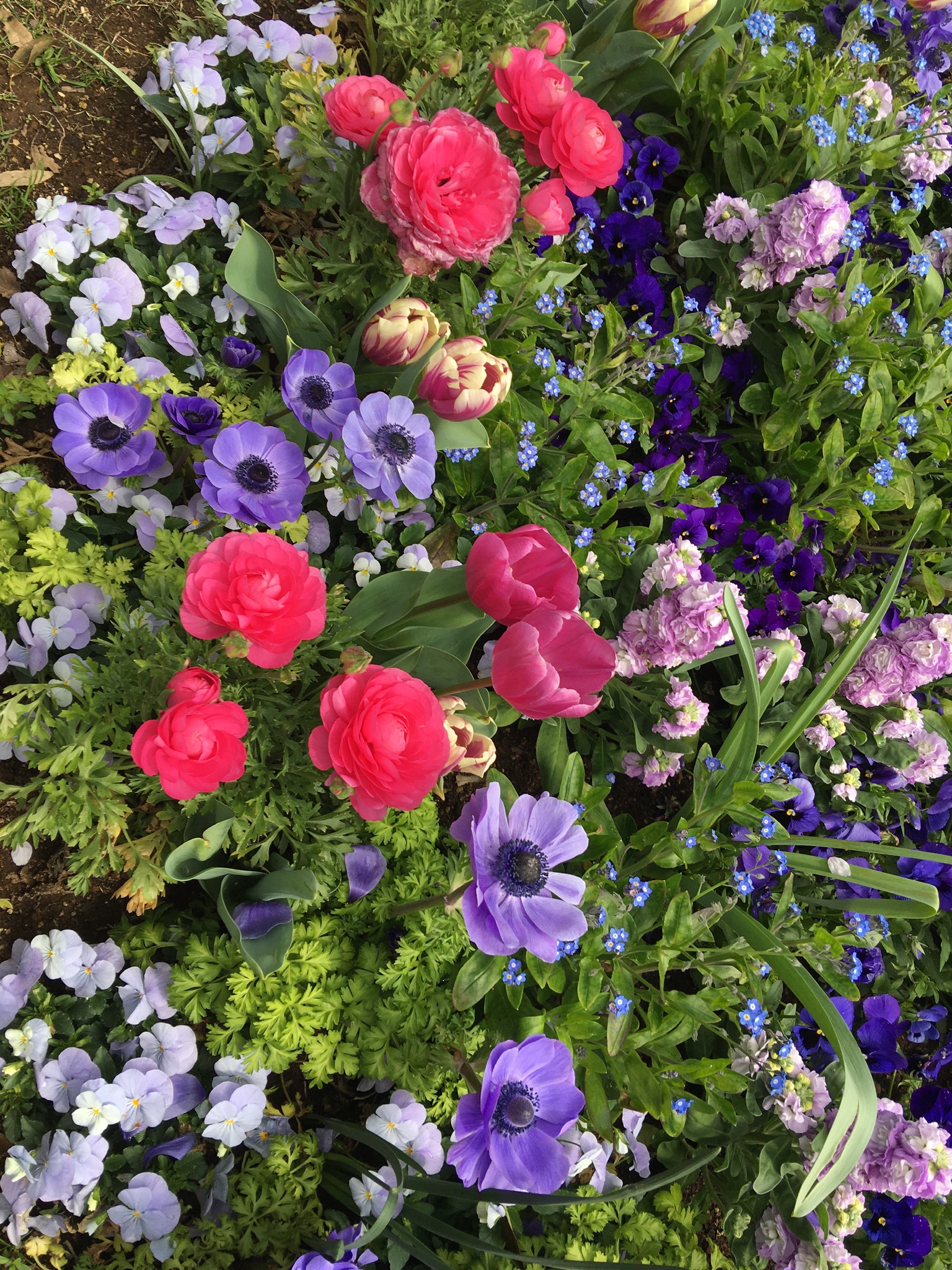 E7FA5B73-3548-4DB9-9A77-517928223D15