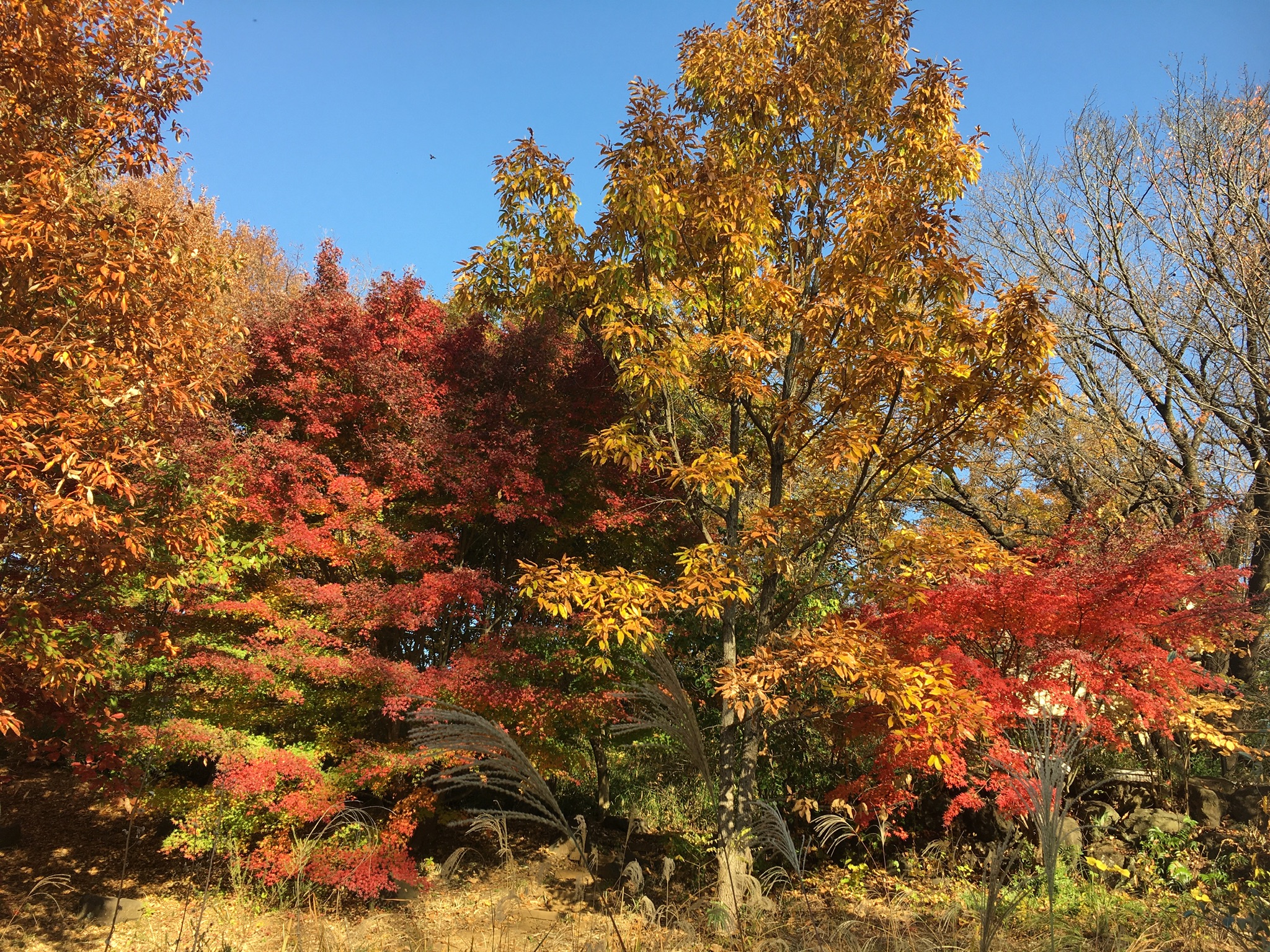 F4538C4F-4F00-4726-8FD9-D028DDAA934F