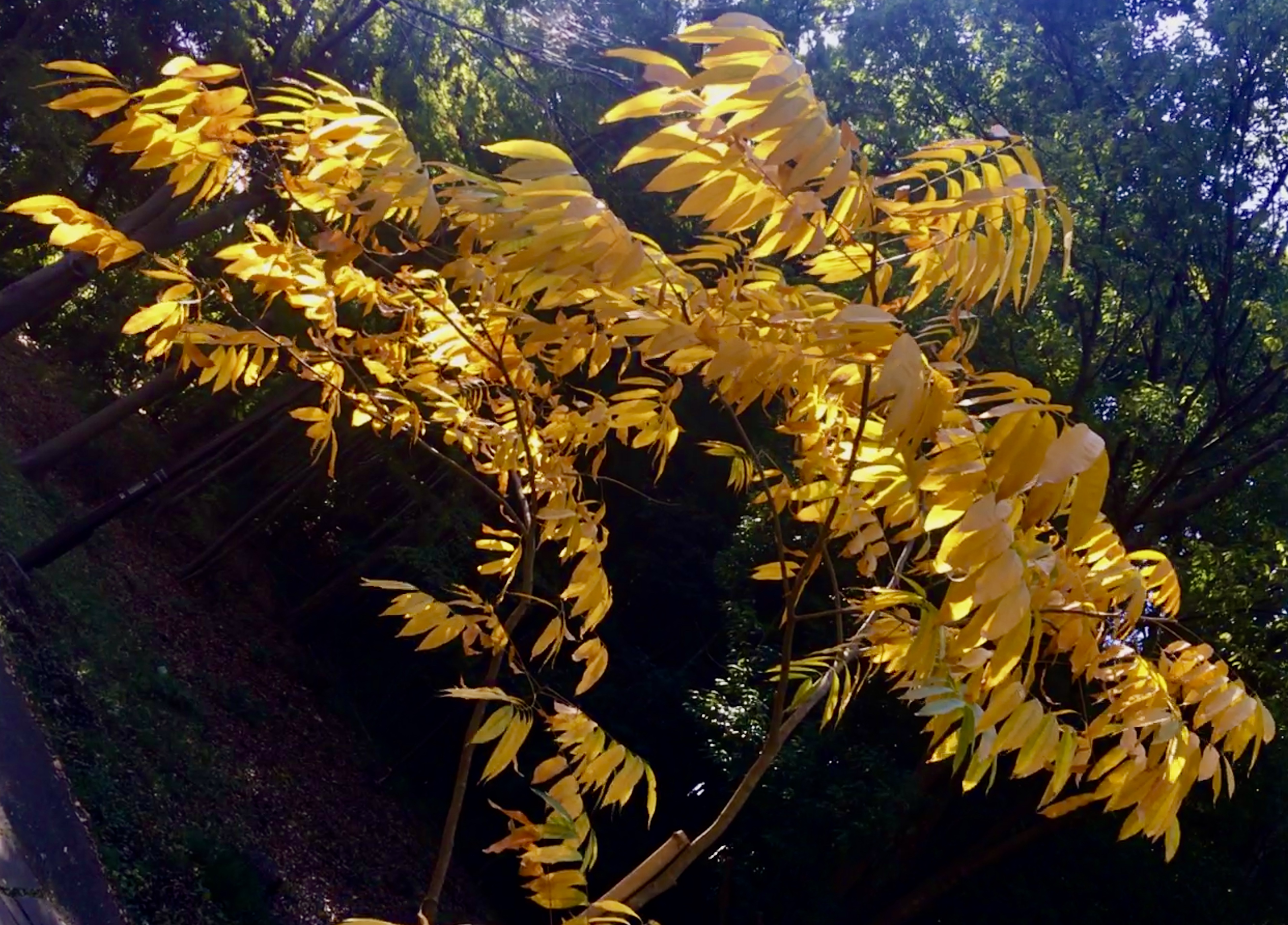 FD1EE299-468D-4265-AA12-859E7974716F