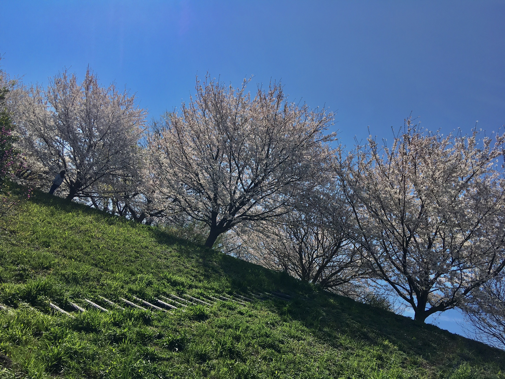 FDC7A6B1-FB70-4B3B-A134-8D3D12AE2EE8