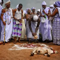 Maitre Romeo Puissant Marabout