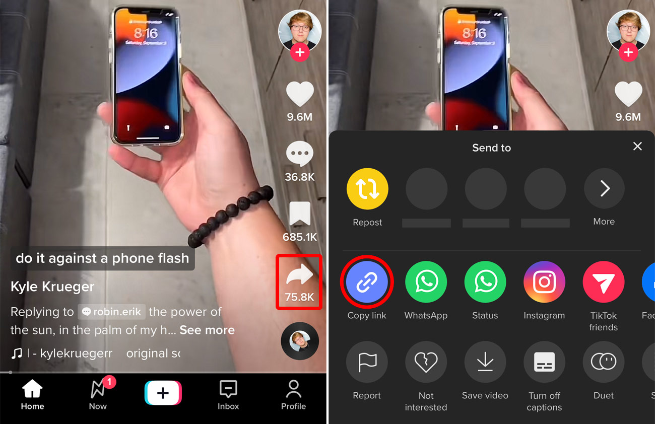 How-to-Share-TikTok-via-Link